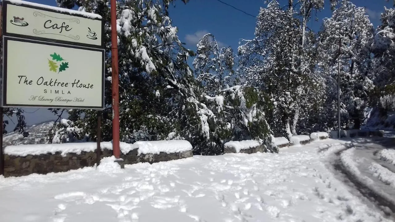 The Oaktree House Hotel Shimla